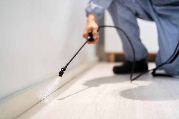 Licensed Pest Control service in Upland, CA - Show Me Pest Control