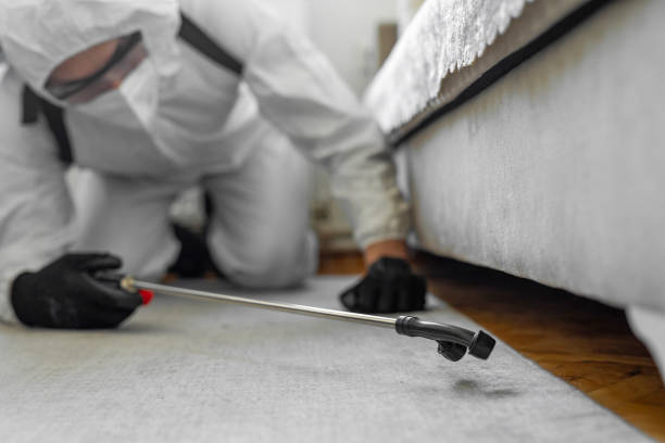 Professional Ant Control technician working in Upland, CA